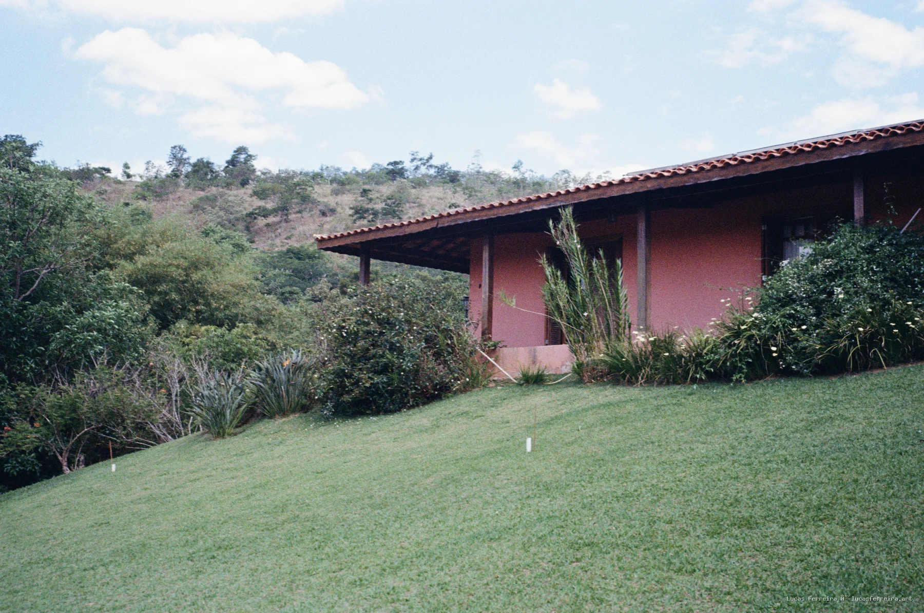 Cotidiano